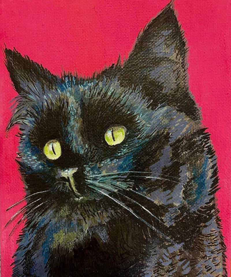 Pet portrait - cat1