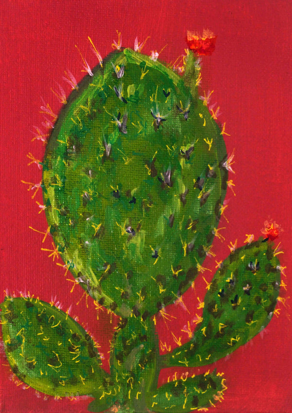 Nopal